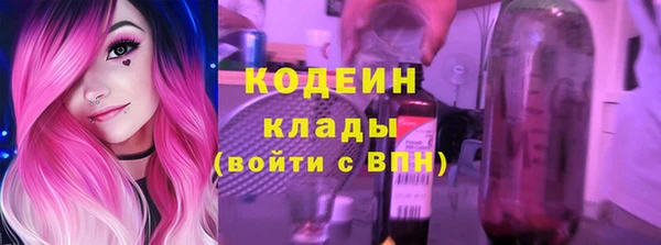хмурый Белокуриха