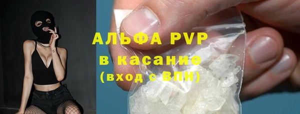 хмурый Белокуриха