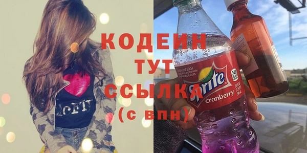 хмурый Белокуриха