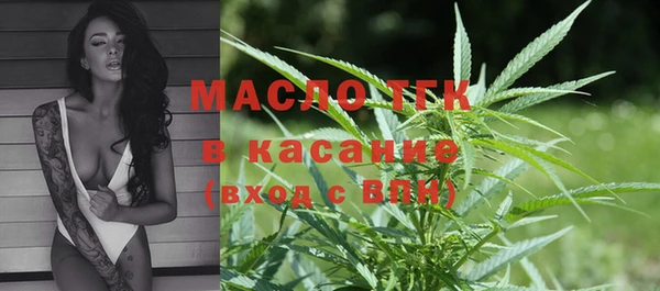 хмурый Белокуриха