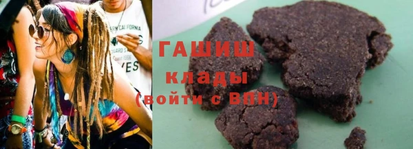 хмурый Белокуриха