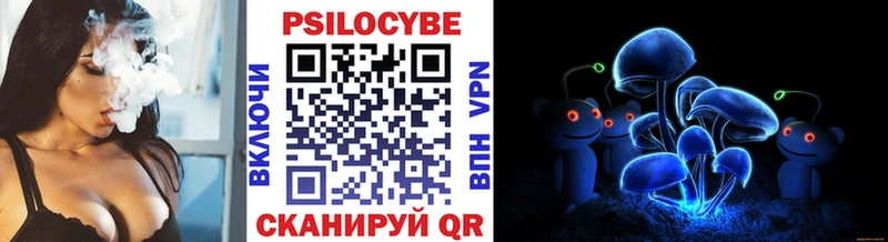 Галлюциногенные грибы Psilocybe  Кушва 